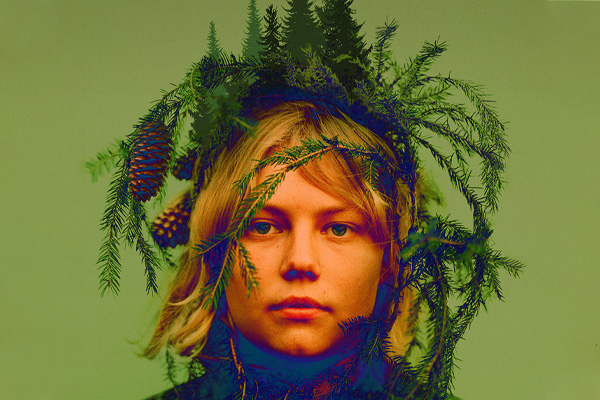 ONCE UPON A TIME IN A FOREST